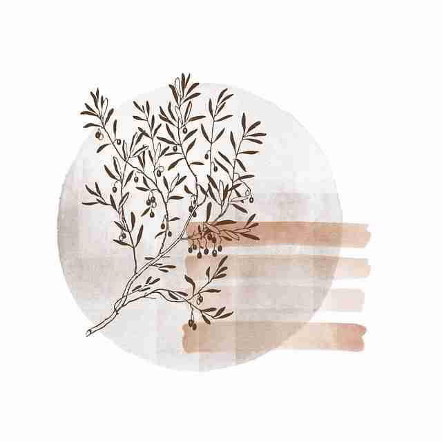 海角网址入口爆点整理全景复盘：用户画像全流程